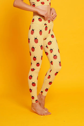 Ladybug Snuggles Flexi Pants